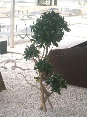 jardines verticales